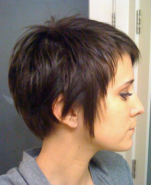 Layered Short Cuts for Thick Hair